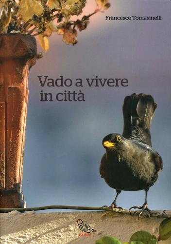 Vado vivere città il - vado, in