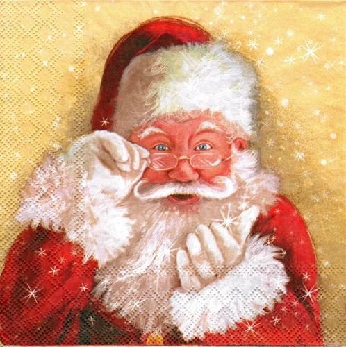Due tovaglioli pranzo - (2),