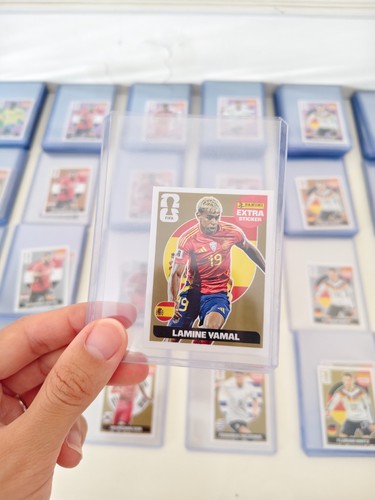 Panini fifa world - panini,