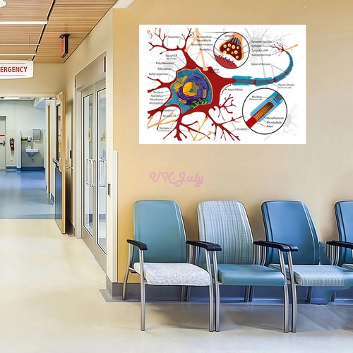 Diagramma cellule neuronali - diagramma,