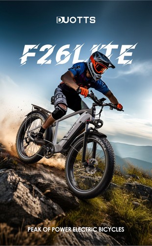 26zoll mtb duotts - e, lite