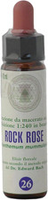 Rock Rose Nr. 26 Princeps