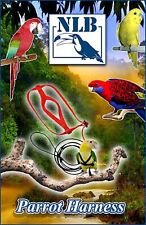 Pettorina Guinzaglio e