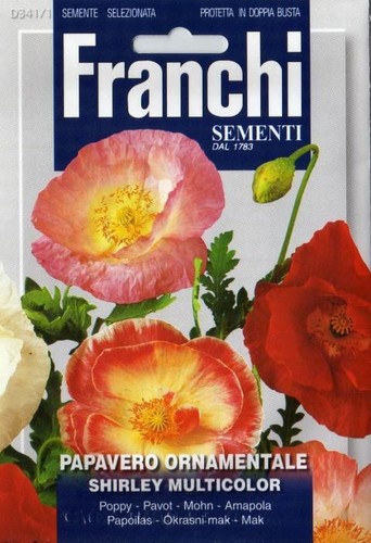 300 semi seeds - semi/seeds, papavero