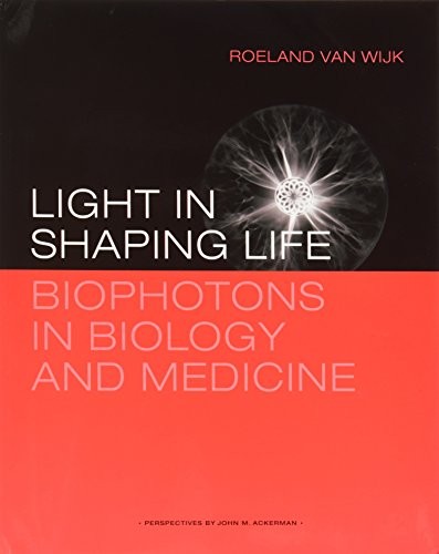 Light shaping life - in,