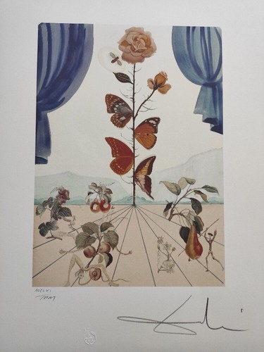 Litografia firmata salvador - firmata,