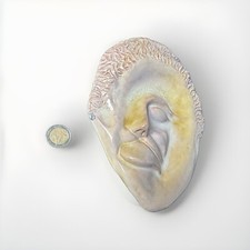 MASCHERA CERAMICA DI FAENZA