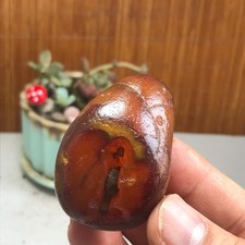 Bonsai Naturale Suiseki Gobi