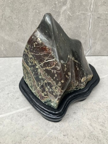 Bonsai suiseki bonseki - suiseki,