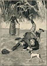 SMOOTH FOX JACK RUSSELL