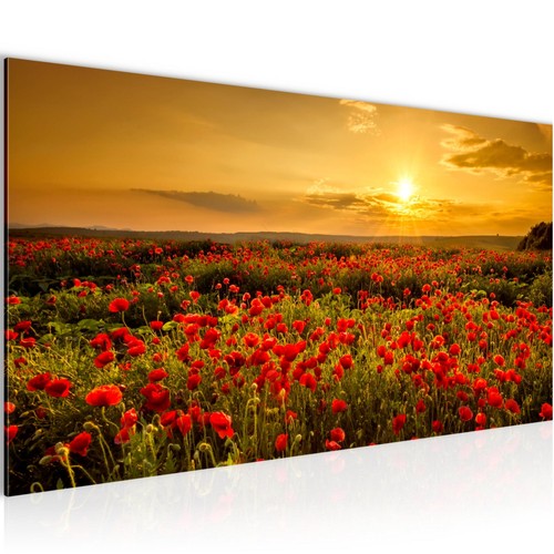 Quadri parete xxl fiori - parete,
