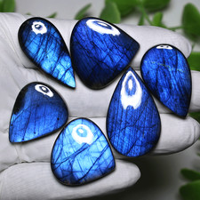 Electric Royal Flash ~ Set di