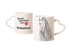 Pintabian tazza con cavallo