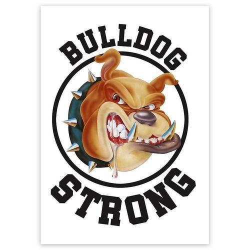 Adesivo regalo bulldog pazzo - adesivo, regalo: