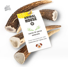 4 Pieces Deer Horns for Whole