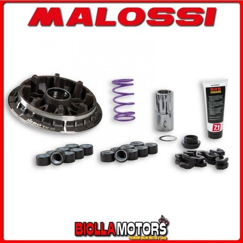 5118058 variatore malossi - 5118058,