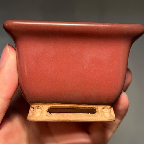 Vaso bonsai giapponese