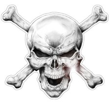 Bellissimo adesivo Skull 'n'