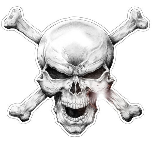 Bellissimo adesivo skull - bellissimo,