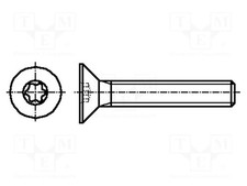 0,5 acciaio inox A2 Torx TX10