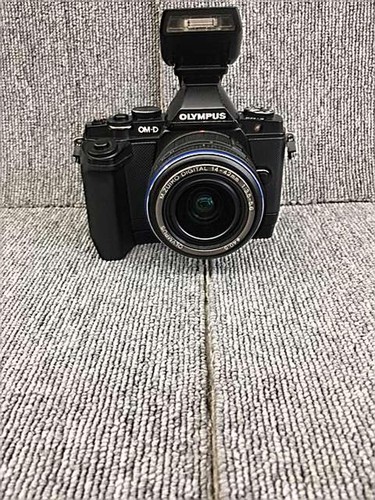 Fotocamera mirrorless modello