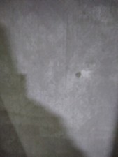 microfono rode nt2000