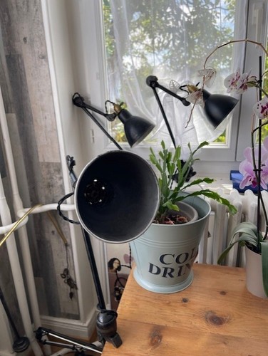 Lampe ajustable gras 204 - lampe,