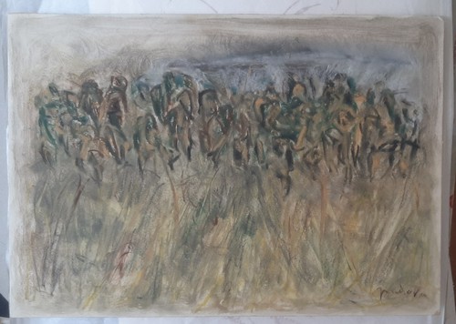 Arte goliardo padova - arte,