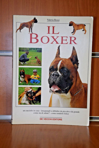 Boxer valeria rossi - valeria,