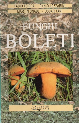 Funghi boleti calderini - boleti,