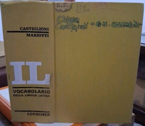 Castiglioni mariotti - castiglioni, il