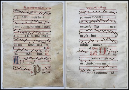 Antifonario pergamena - antifonario,