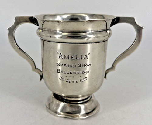 Sterling silver trophy - sterling,