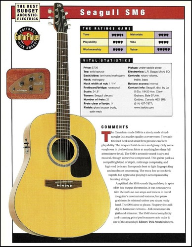 Chitarra acustica seagull - chitarra,