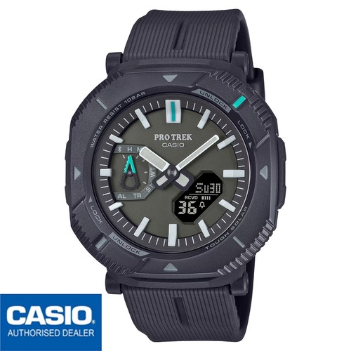 CASIO