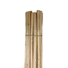 Canne di Bamboo Tutori per