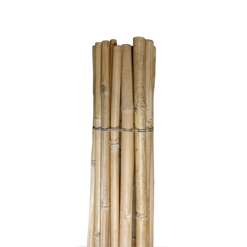 Canne bamboo tutori per - canne,