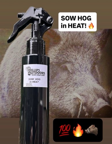 Esca wild hog semina - wild, "semina