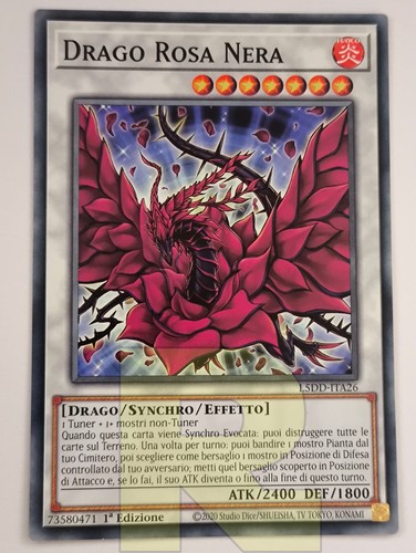 Drago rosa nera - drago, rose
