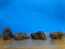 Pietra naturale suiseki Palombino 4 pezzi appenino Ligure bonsai peso  .bonsai