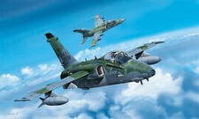 HobbyBoss 081742 1/48 AMX