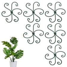 Per 6-Pack Supporto Pianta