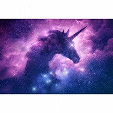 Carta da parati fotografica