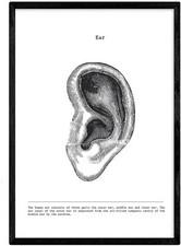 Poster stampa artistica