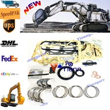 Kit Revisione Motore D1101 DH1101 Nuovo per Ricambi Trattore Kubota L245 L2201