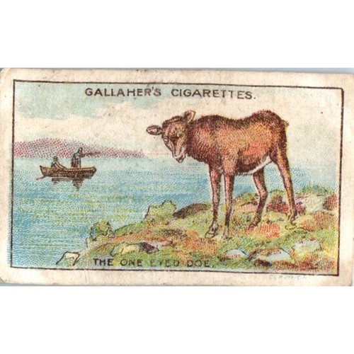 Carta sigarette gallaher anni - carta,