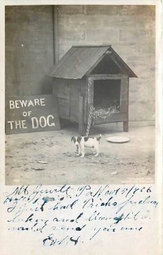 1906 beware the dog - beware, of