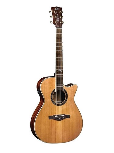 Chitarra acustica