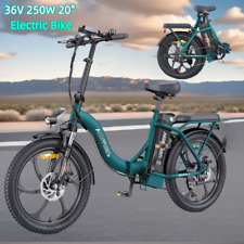 MilePort 1 Bici Elettrica Per Adulti, 36V 13AH Batteria Rimovibile 250w Motore