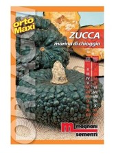 Semi di Zucca Marina di Chioggia